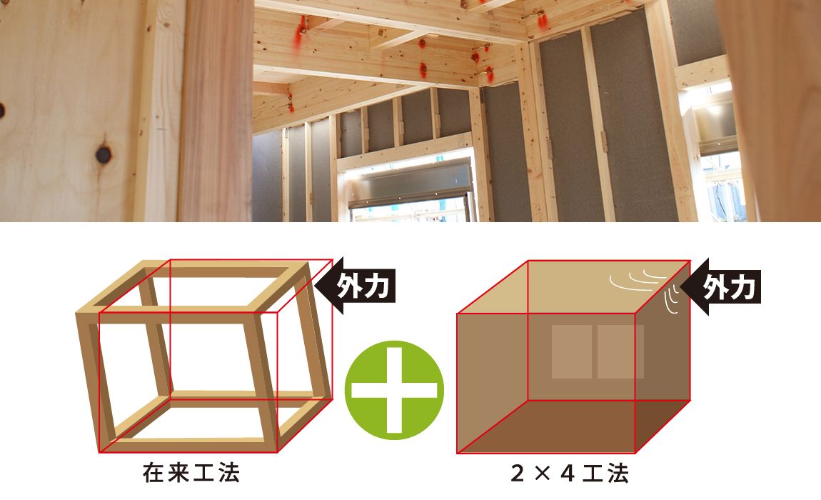 代表サンプル