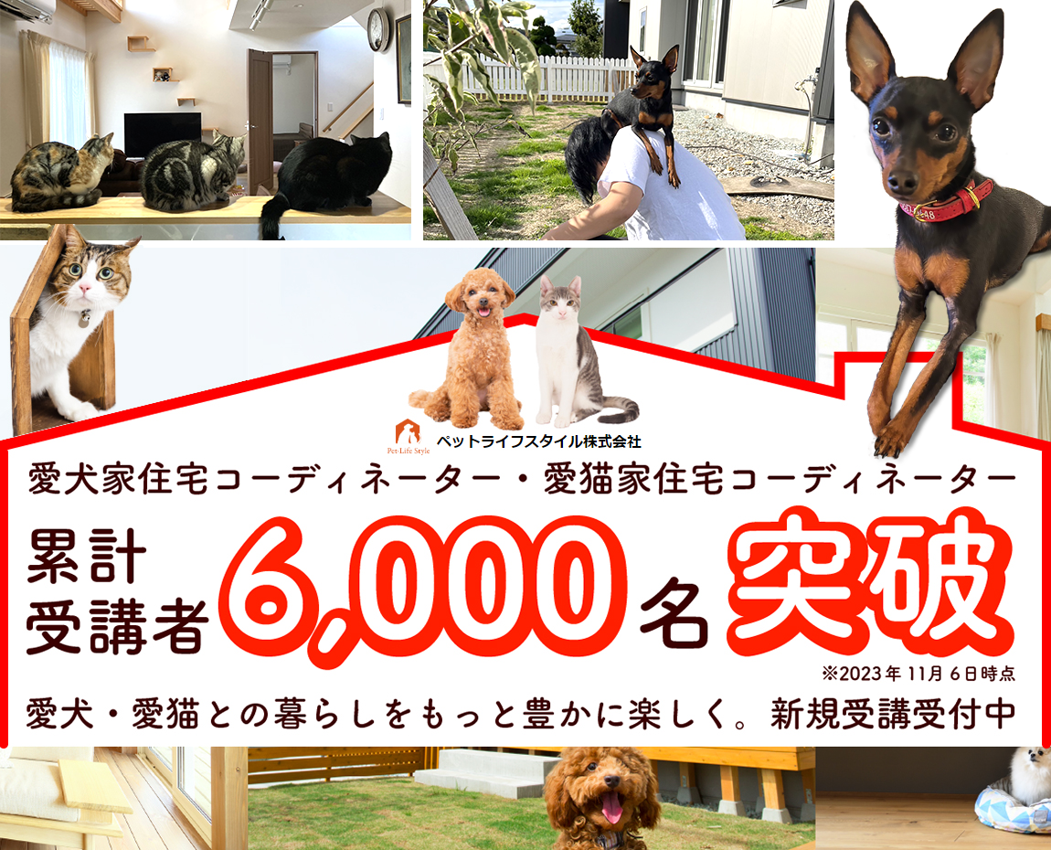 代表サンプル